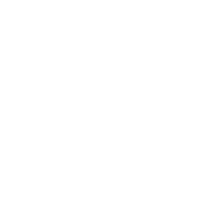 LatinX_DLN_Logo_White